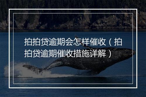 拍拍贷逾期会怎样催收（拍拍贷逾期催收措施详解）