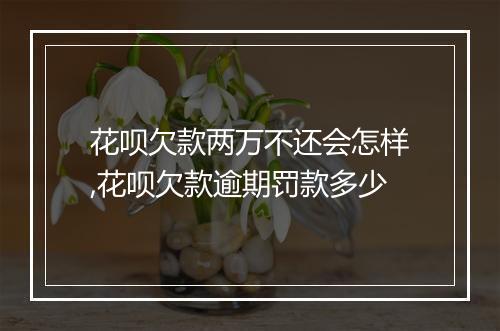 花呗欠款两万不还会怎样,花呗欠款逾期罚款多少