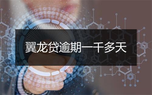 翼龙贷逾期一千多天
