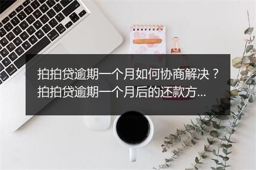 拍拍贷逾期一个月如何协商解决？拍拍贷逾期一个月后的还款方案