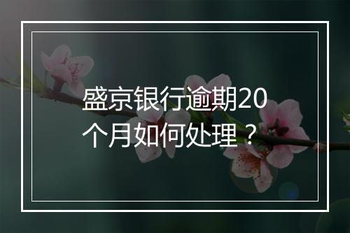 盛京银行逾期20个月如何处理？