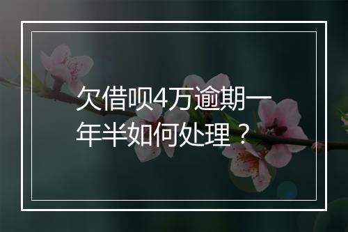 欠借呗4万逾期一年半如何处理？