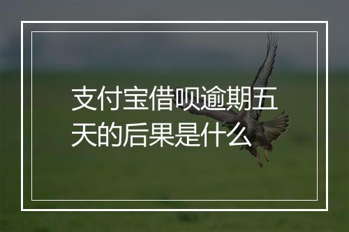 支付宝借呗逾期五天的后果是什么