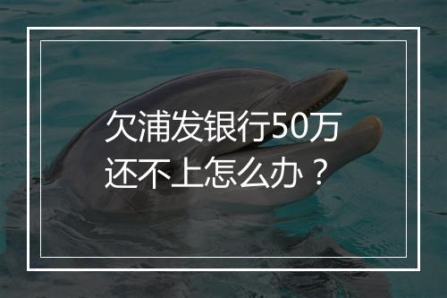 欠浦发银行50万还不上怎么办？