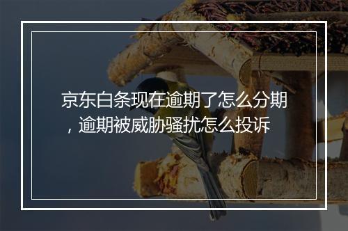 京东白条现在逾期了怎么分期，逾期被威胁骚扰怎么投诉