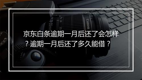 京东白条逾期一月后还了会怎样？逾期一月后还了多久能借？