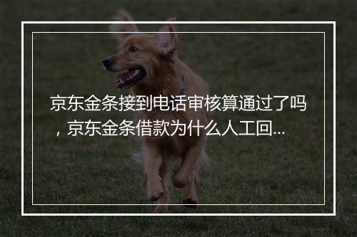 京东金条接到电话审核算通过了吗，京东金条借款为什么人工回访