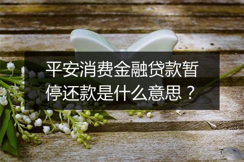 平安消费金融贷款暂停还款是什么意思？