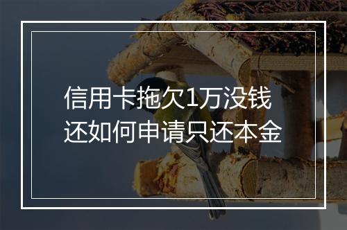 信用卡拖欠1万没钱还如何申请只还本金