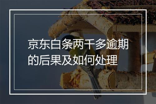 京东白条两千多逾期的后果及如何处理