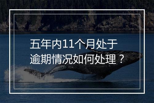 五年内11个月处于逾期情况如何处理？