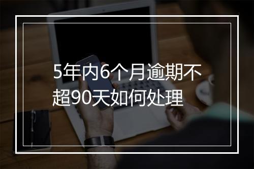 5年内6个月逾期不超90天如何处理