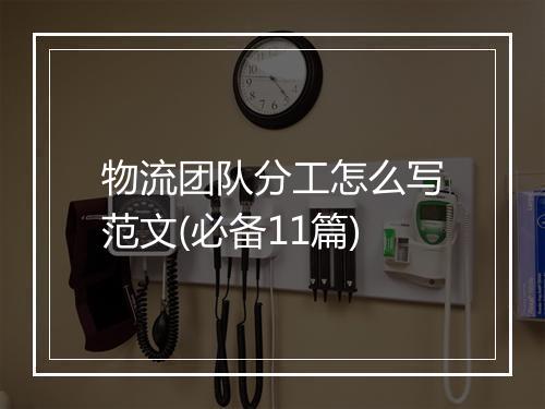 物流团队分工怎么写范文(必备11篇)