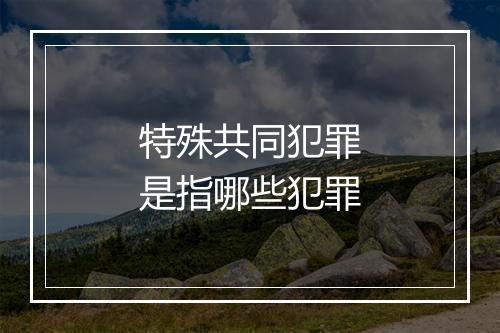 特殊共同犯罪是指哪些犯罪