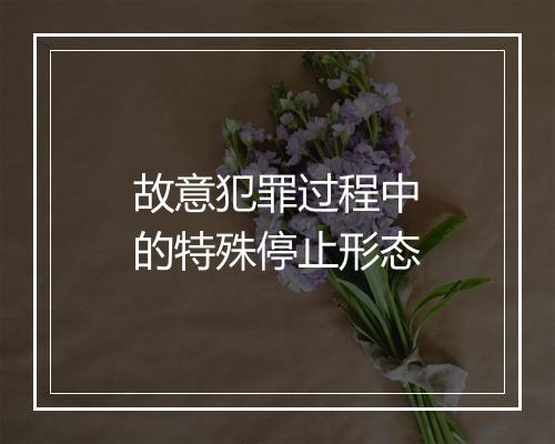 故意犯罪过程中的特殊停止形态