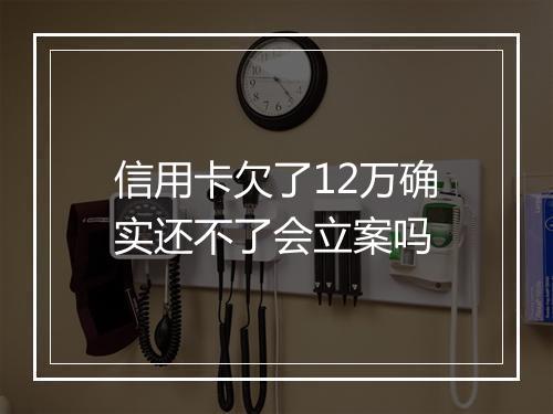 信用卡欠了12万确实还不了会立案吗