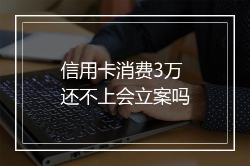 信用卡消费3万还不上会立案吗