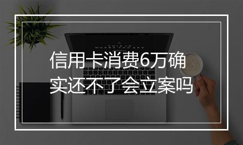 信用卡消费6万确实还不了会立案吗