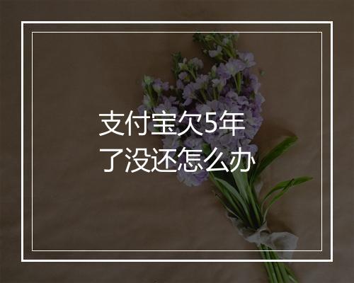 支付宝欠5年了没还怎么办