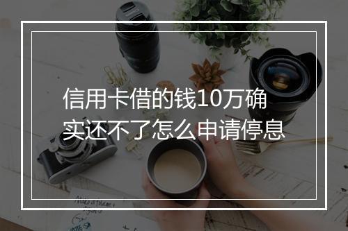 信用卡借的钱10万确实还不了怎么申请停息