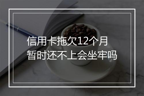 信用卡拖欠12个月暂时还不上会坐牢吗