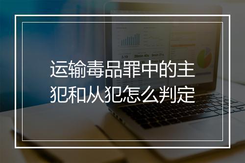 运输毒品罪中的主犯和从犯怎么判定