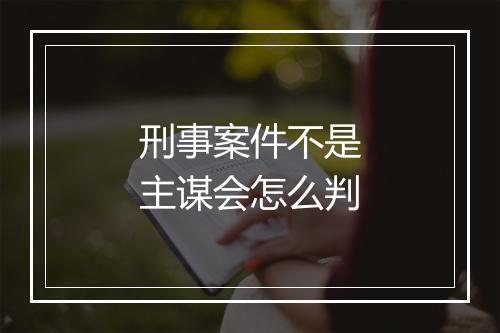 刑事案件不是主谋会怎么判