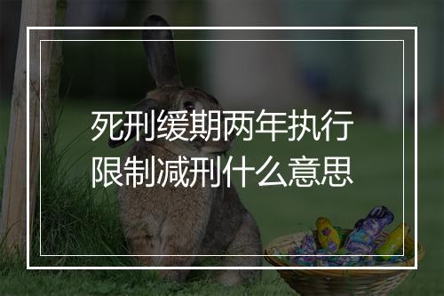死刑缓期两年执行限制减刑什么意思