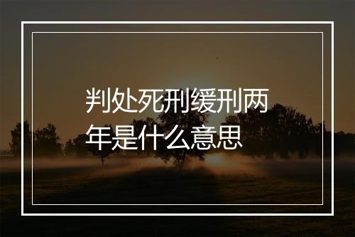 判处死刑缓刑两年是什么意思