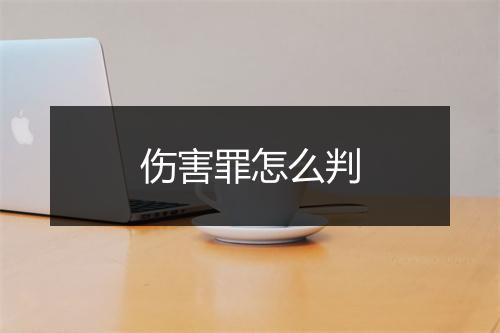 伤害罪怎么判