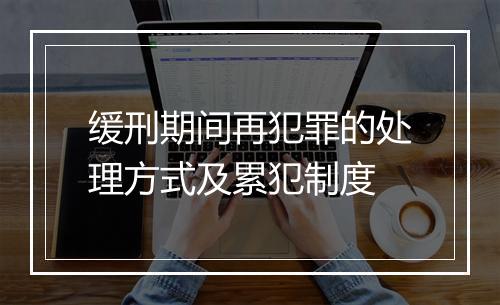 缓刑期间再犯罪的处理方式及累犯制度
