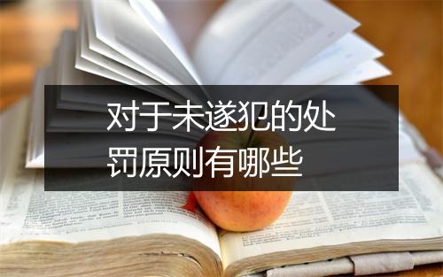 对于未遂犯的处罚原则有哪些