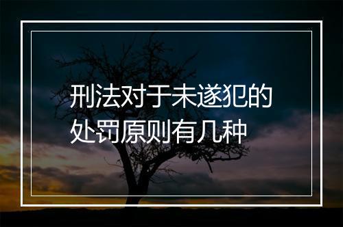 刑法对于未遂犯的处罚原则有几种