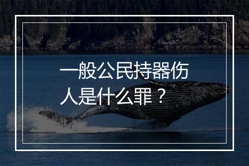 一般公民持器伤人是什么罪？