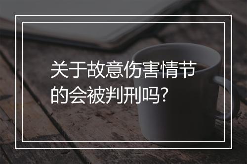 关于故意伤害情节的会被判刑吗?