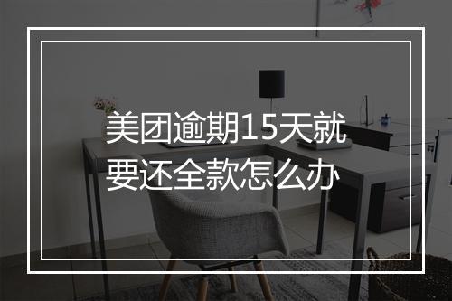 美团逾期15天就要还全款怎么办