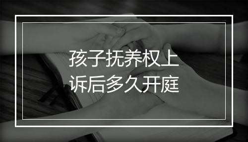 孩子抚养权上诉后多久开庭