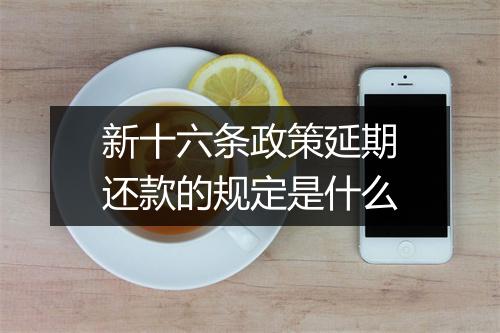 新十六条政策延期还款的规定是什么