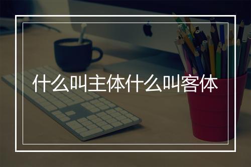 什么叫主体什么叫客体