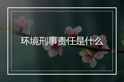 环境刑事责任是什么