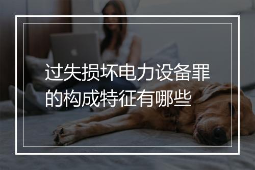 过失损坏电力设备罪的构成特征有哪些