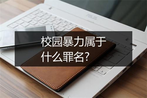 校园暴力属于什么罪名?