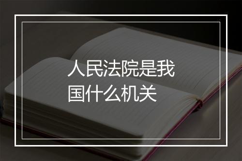 人民法院是我国什么机关