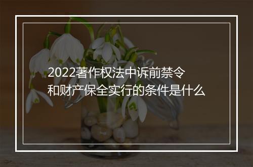 2022著作权法中诉前禁令和财产保全实行的条件是什么