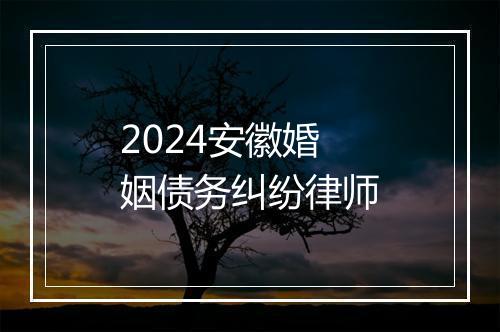 2024安徽婚姻债务纠纷律师