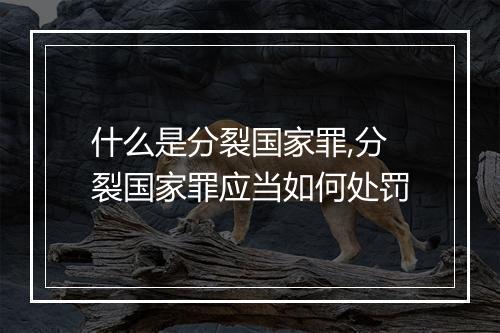 什么是分裂国家罪,分裂国家罪应当如何处罚