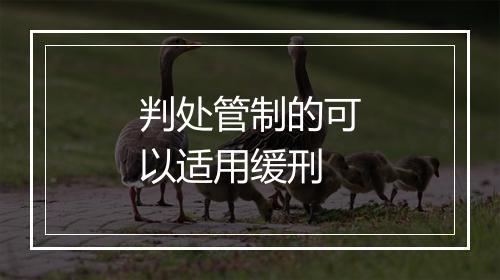 判处管制的可以适用缓刑