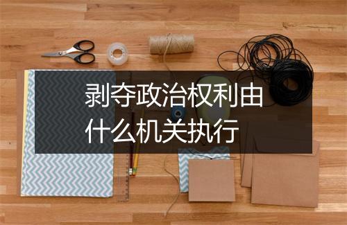剥夺政治权利由什么机关执行