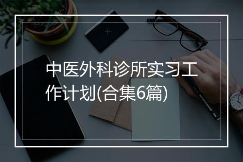 中医外科诊所实习工作计划(合集6篇)