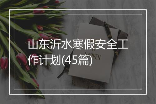 山东沂水寒假安全工作计划(45篇)